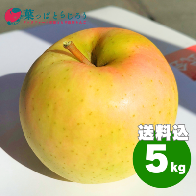 ☆ りんご　さま　専用　☆ 楽天市場】【ふるさと納税】富士りんご 秀 5kg fz18-135 リンゴ